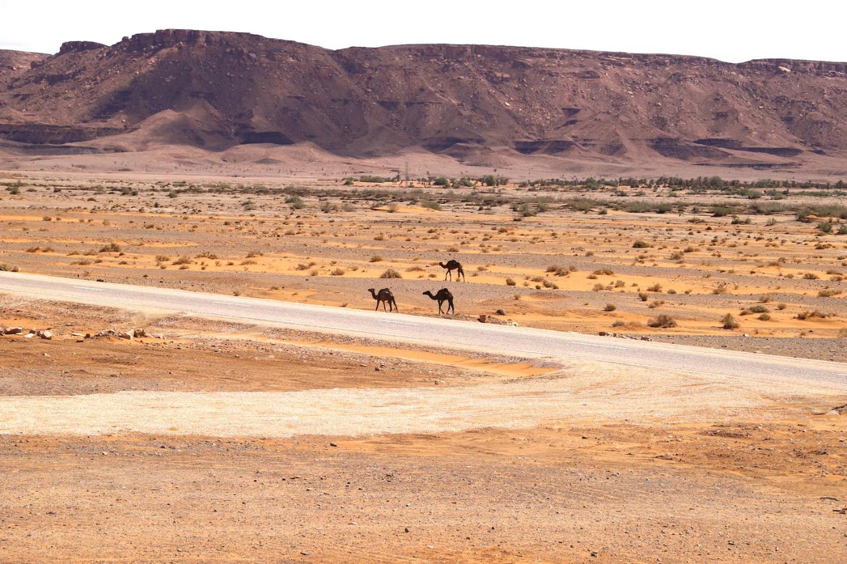 Porte De Sahara Ouzina Eksteriør billede